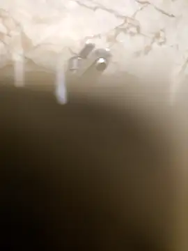 OBengaliBabuO online show from 03-16-25, 12:34