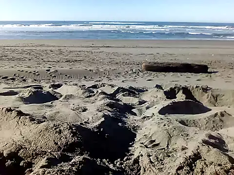 Snapshot of dog-naked chatting on 01-22-25, 10:26 dog-naked online show from 01-22-25, 10:26