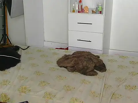 Snapshot of SexyLi_ chatting on 07-30-26, 02:21 SexyLi online show from 07-30-26, 02:21
