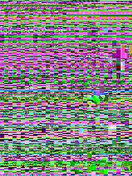 Jelmer57 online show from 07-24-26, 08:51