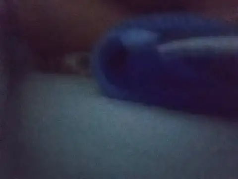Snapshot of Chinitabella88 chatting on 08-03-26, 02:43 Chinitabella88 online show from 08-03-26, 02:43