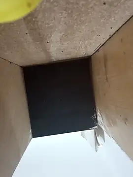 Snapshot of sweetshorexxx chatting on 01-31-25, 09:48 sweetshorexxx online show from 01-31-25, 09:48