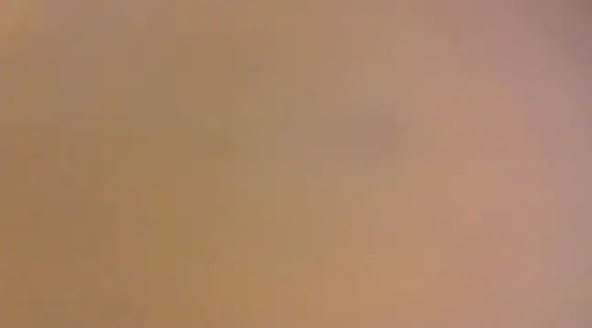 lilpervt online show from 12-21-24, 11:55