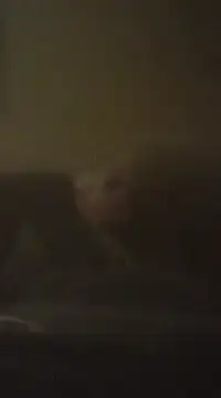 Snapshot of Biknight chatting on 12-09-24, 05:07 Biknight online show from 12-09-24, 05:07