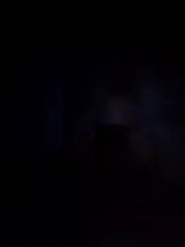 Snapshot of Biknight chatting on 12-12-24, 12:59 Biknight online show from 12-12-24, 12:59