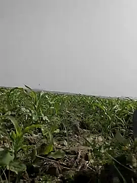 Snapshot of ThethunderPo chatting on 02-05-26, 05:45 ThethunderPo online show from 02-05-26, 05:45