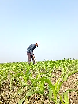 Snapshot of ThethunderPo chatting on 02-06-26, 04:39 ThethunderPo online show from 02-06-26, 04:39