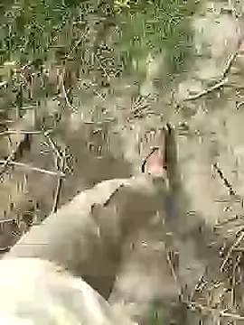 Snapshot of ThethunderPo chatting on 02-25-26, 07:51 ThethunderPo online show from 02-25-26, 07:51