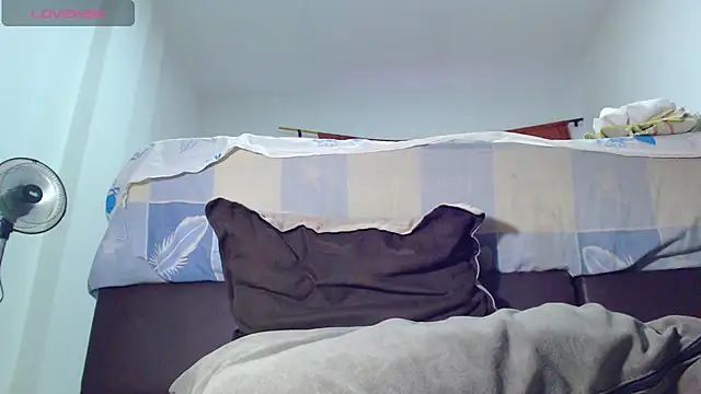 ashelymalefica online show from 02-19-26, 08:38