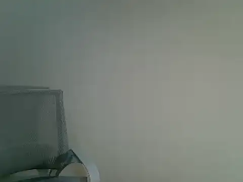 DitaVira online show from 12-11-24, 08:28