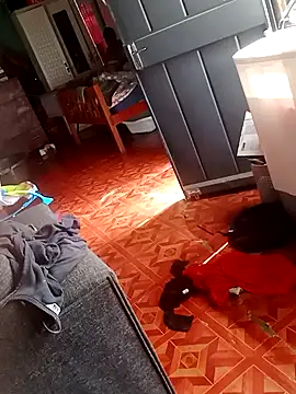 Snapshot of 2soyte chatting on 09-26-25, 08:29 2soyte online show from 09-26-25, 08:29