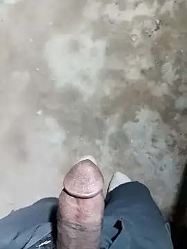 Bengali BULL1 online show from 11-15-25, 06:26