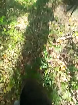 sarpe4 online show from 09-14-25, 08:02