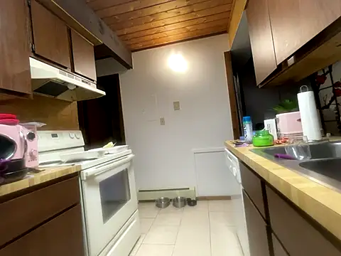 odbodu online show from 11-14-25, 06:06