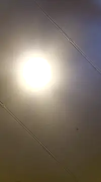 Snapshot of PinkTheHawk chatting on 01-11-25, 10:07 PinkTheHawk online show from 01-11-25, 10:07