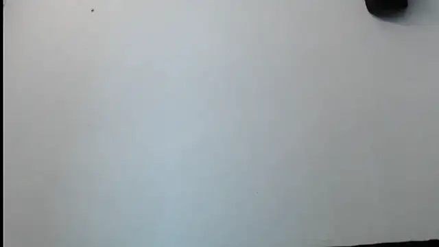 Snapshot of SebastianReiss chatting on 02-13-25, 01:29 SebastianReiss online show from 02-13-25, 01:29