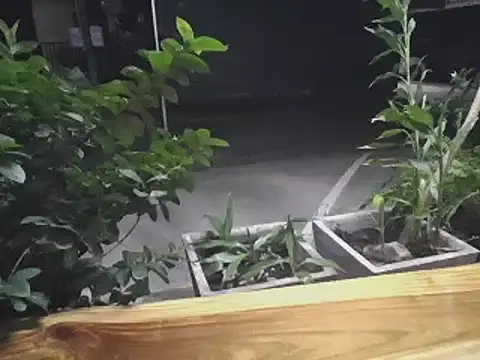 sara kimoo online show from 01-16-25, 05:55