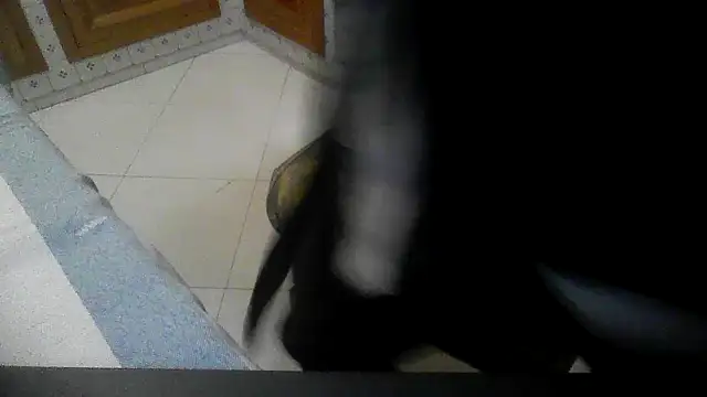 polloiw online show from 10-18-25, 07:36