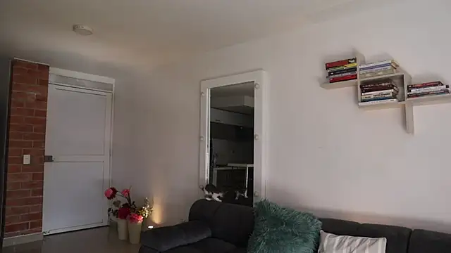  Vahos  online show from 11-28-25, 05:15