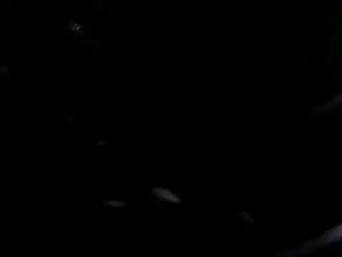 giga-bite online show from 10-10-25, 03:44