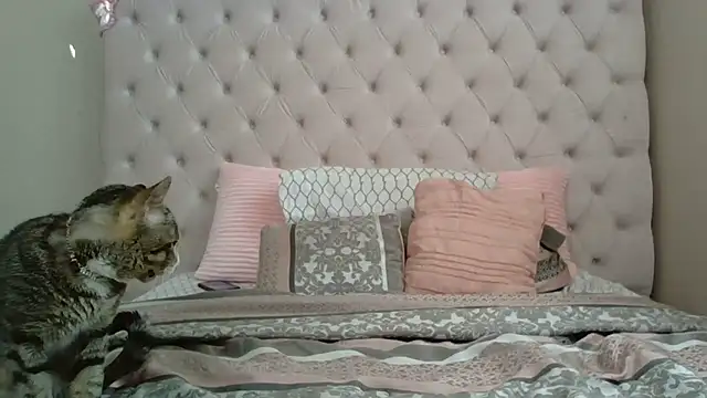 Snapshot of beautylovess chatting on 12-21-25, 02:35 beautylovess online show from 12-21-25, 02:35