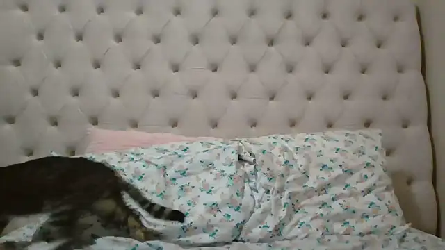 Snapshot of beautylovess chatting on 02-05-26, 11:42 beautylovess online show from 02-05-26, 11:42