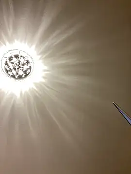 Snapshot of PreciousKittyXO chatting on 11-07-25, 01:27 PreciousKittyXO online show from 11-07-25, 01:27