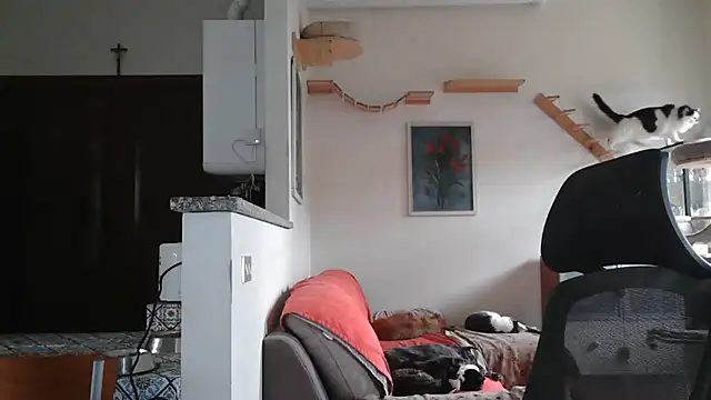 Snapshot of simona60 chatting on 02-09-25, 02:07 simona60 online show from 02-09-25, 02:07