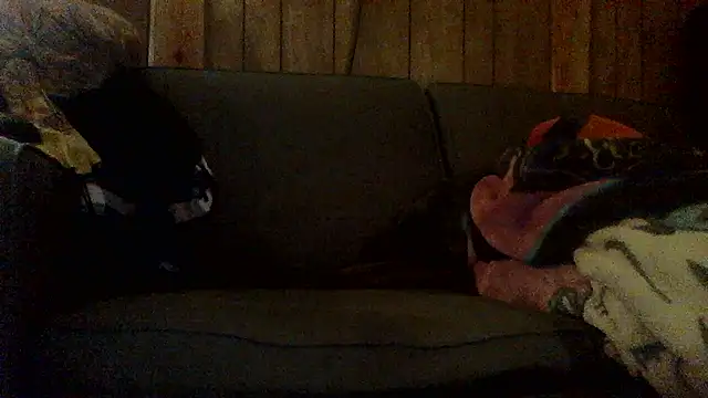 Snapshot of Ryoko_Momoko chatting on 11-01-25, 02:46 Ryoko Momoko online show from 11-01-25, 02:46