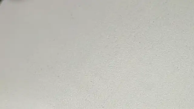 yodaModel1 online show from 02-06-25, 10:15