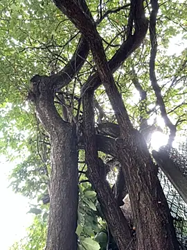 Night dreams online show from 09-20-25, 07:53