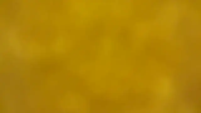 fmodel online show from 12-16-25, 02:33