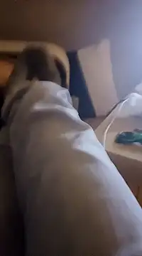 InMeinenMund online show from 01-13-25, 02:39