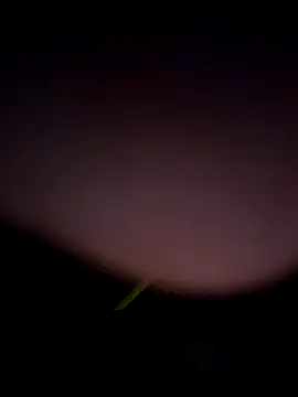 tropikboy online show from 02-25-26, 12:53