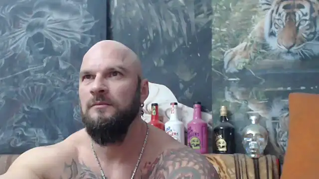 viking 30 online show from 11-17-25, 07:41