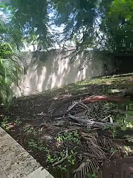 JohnnyBigShot online show from 09-28-25, 03:50