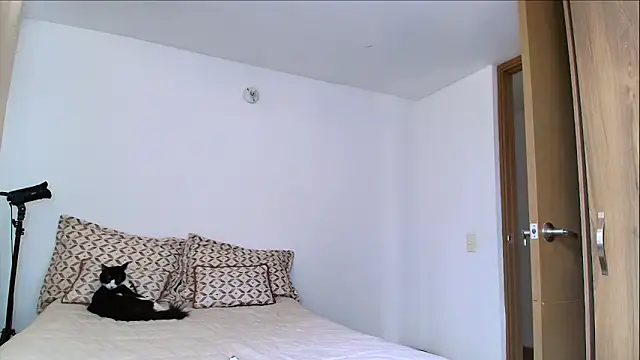 SARA TS FOX online show from 02-11-26, 05:18