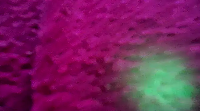 CZboobs online show from 02-26-25, 08:54