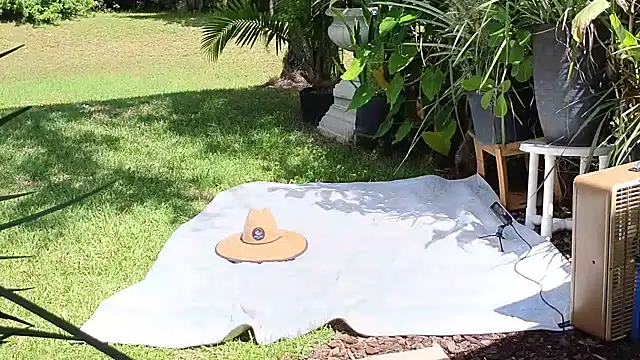 Snapshot of eliberator1777 chatting on 09-21-25, 05:03 eliberator1777 online show from 09-21-25, 05:03