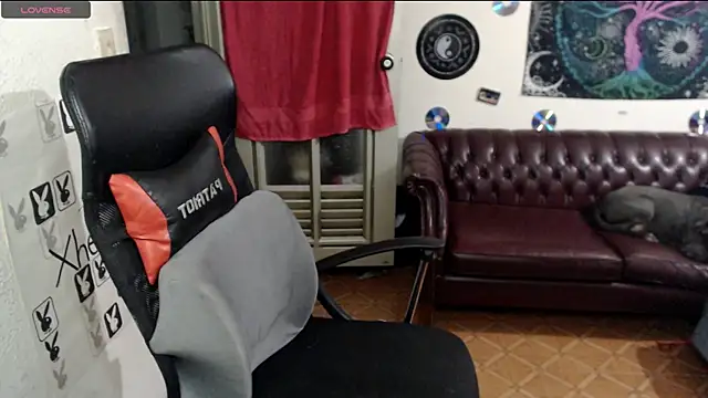 Snapshot of xherry_horny chatting on 02-19-25, 05:05 xherry horny online show from 02-19-25, 05:05