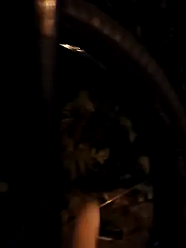 FireFox Feel online show from 03-11-25, 08:20