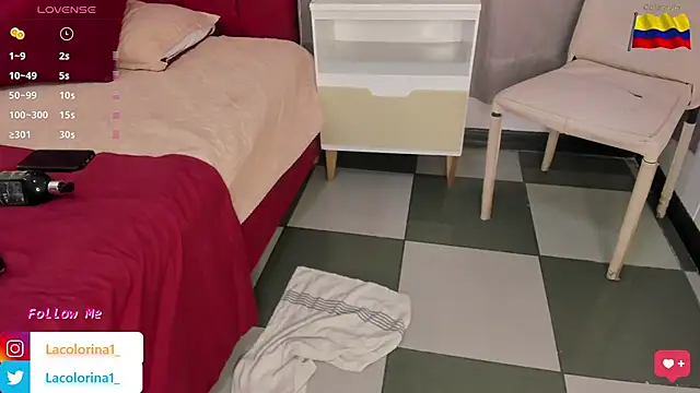 LaColorina  online show from 02-17-25, 08:09