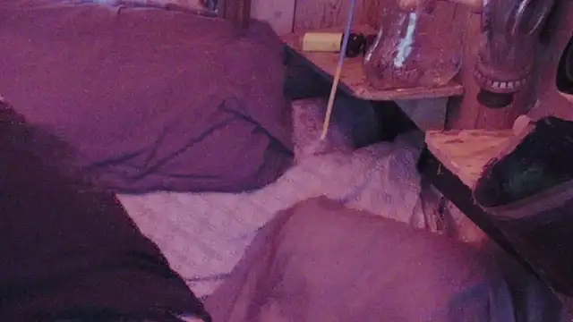 sex4fun 21 online show from 02-01-25, 07:15