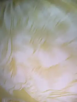 Dhiyapink online show from 12-02-24, 06:41