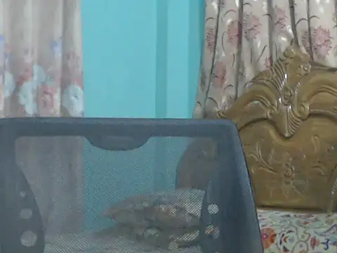 NancyRuvi online show from 09-09-25, 03:22