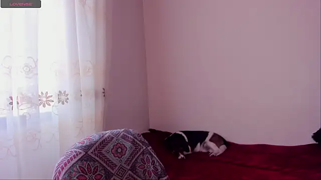 aluna 0310 online show from 12-20-24, 08:45