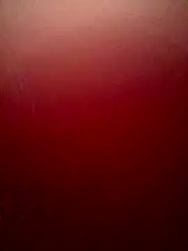 Snapshot of sweetAli_ chatting on 10-04-25, 11:25 sweetAli  online show from 10-04-25, 11:25