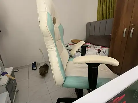 Max TheHorseDick online show from 12-14-24, 02:34