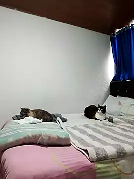 Snapshot of Vicky_Rosse chatting on 11-01-25, 05:37 Vicky Rosse online show from 11-01-25, 05:37