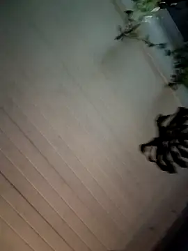 Snapshot of Nikkierosee chatting on 12-14-24, 10:56 Nikkierosee online show from 12-14-24, 10:56